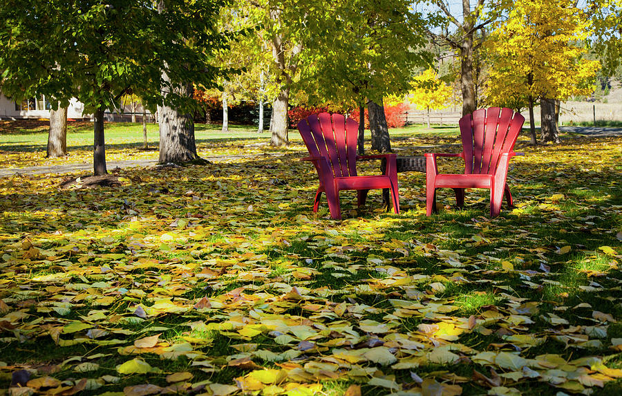 Red Chairs In Autumn Photograph by Theresa Tahara