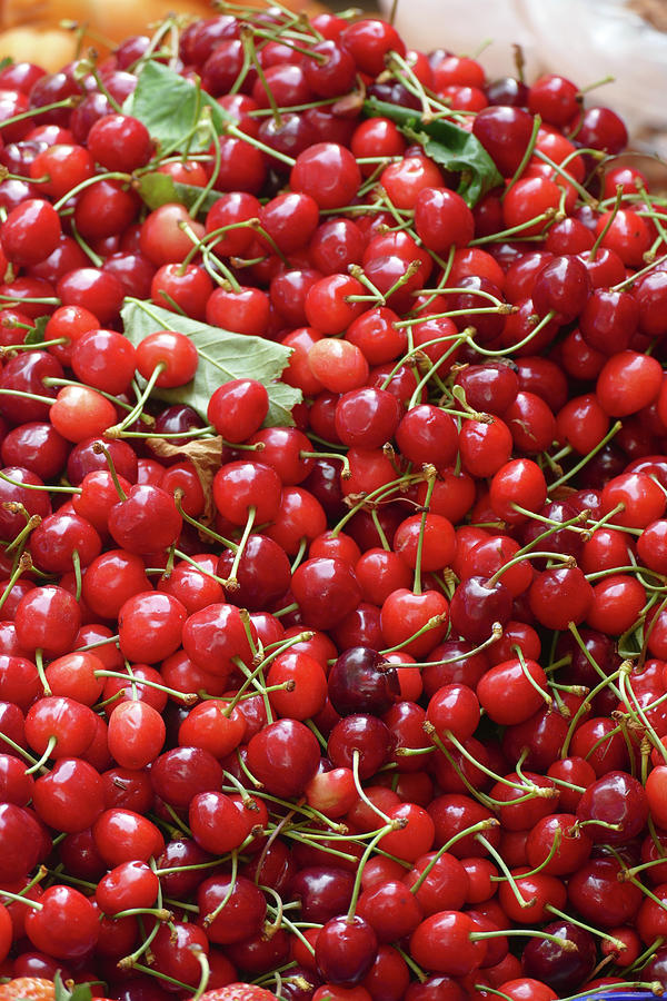 Red cherries for sale s at the green market Photograph by Steve Estvanik