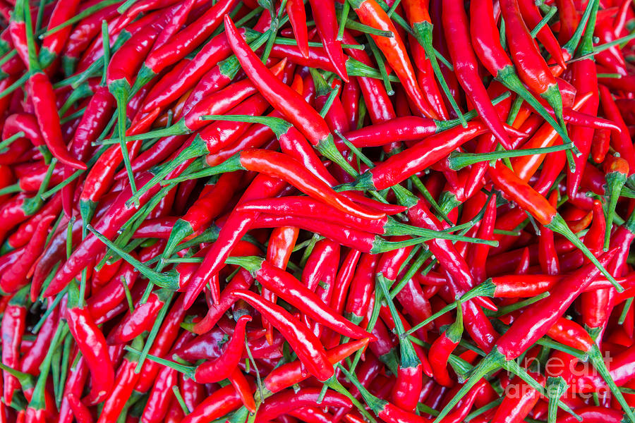 Pepper Photograph - Red Chillies For Sale At Marketthailand by Jat306 Pepper Photograph - Red Chillies For Sale At Marketthailand by Jat306