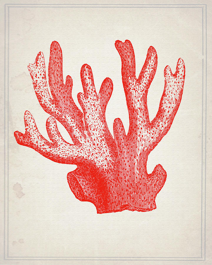 Nautical Mixed Media - Red Coral 3 by Natasha Wescoat