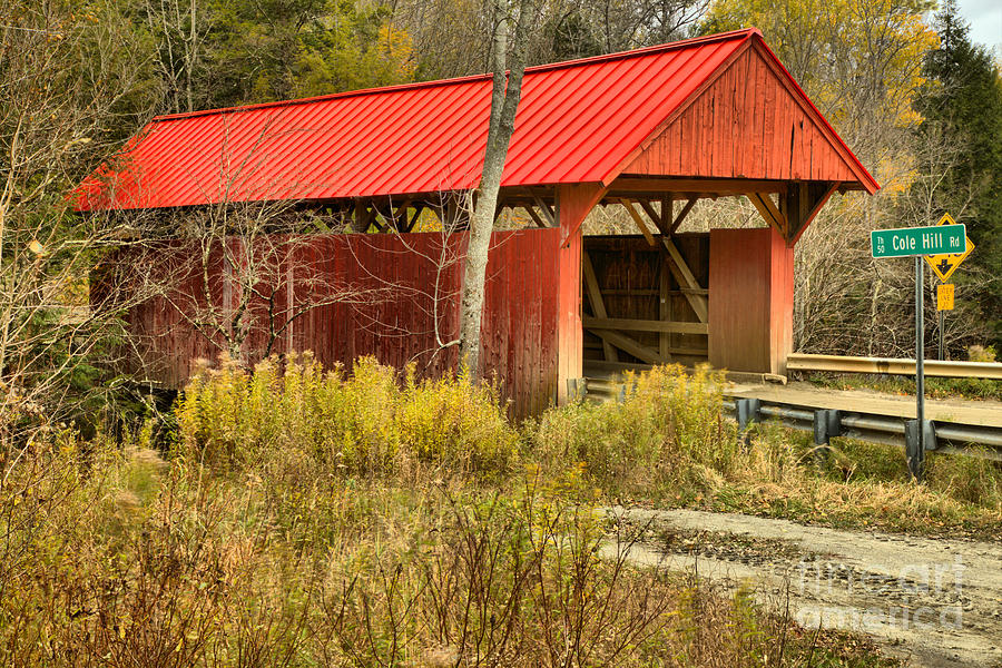 Red Covered Bridge In The Brush Photograph by Adam Jewell