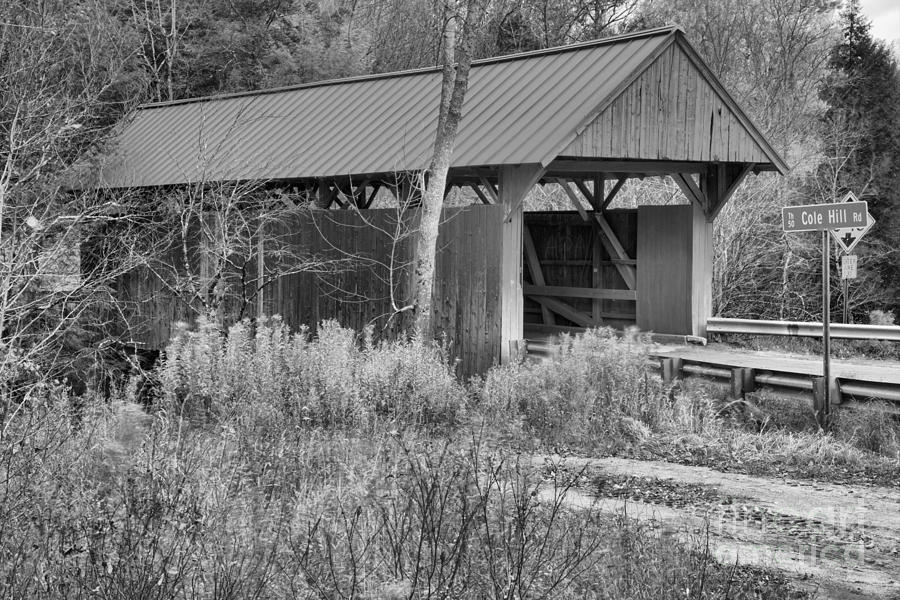 Red Covered Bridge In The Brush Black And White Photograph by Adam Jewell