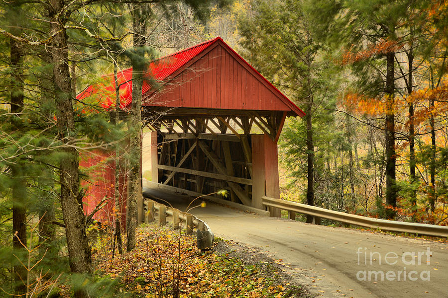 Red Covered Bridge In The Forest Photograph by Adam Jewell