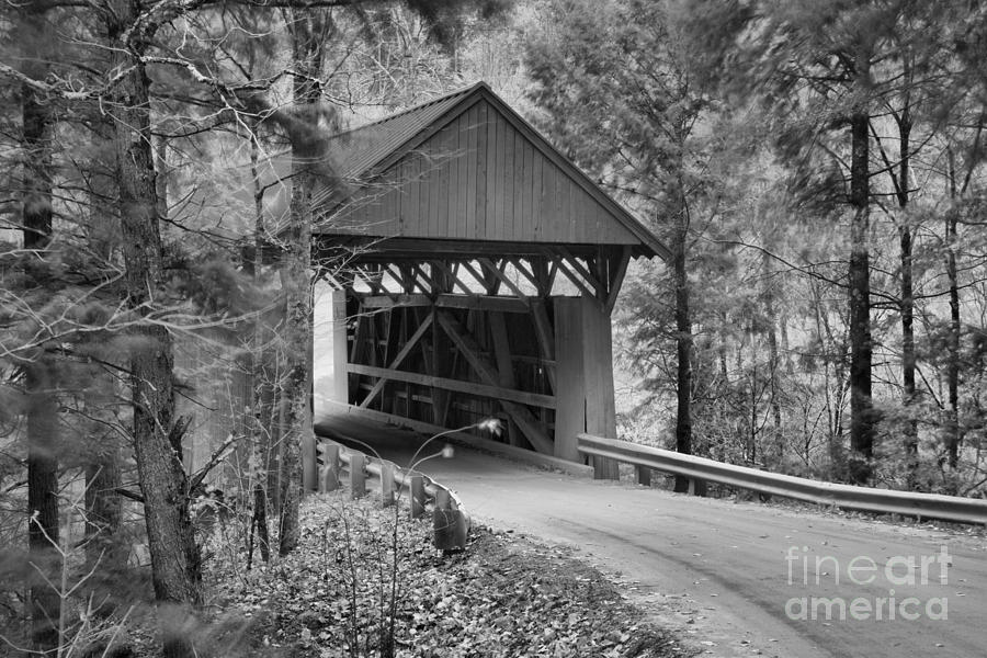 Red Covered Bridge In The Forest Black And White Photograph by Adam Jewell