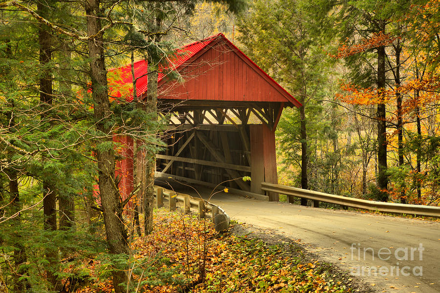 Red Covered Bridge In The Woods Photograph by Adam Jewell