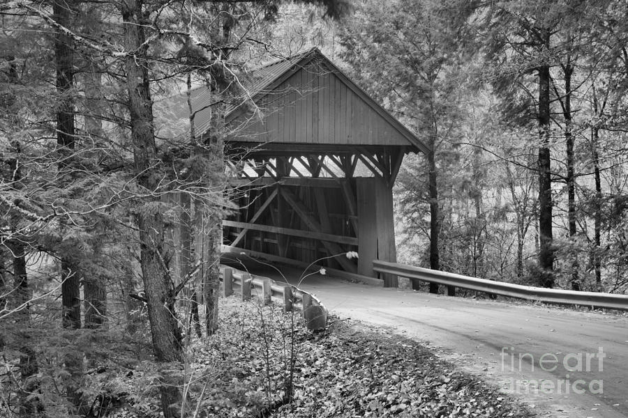 Red Covered Bridge In The Woods Black And White Photograph by Adam Jewell