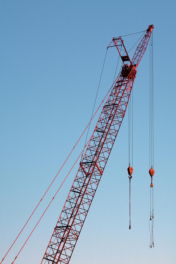 Red Crane Vertical Photograph by Todd Klassy