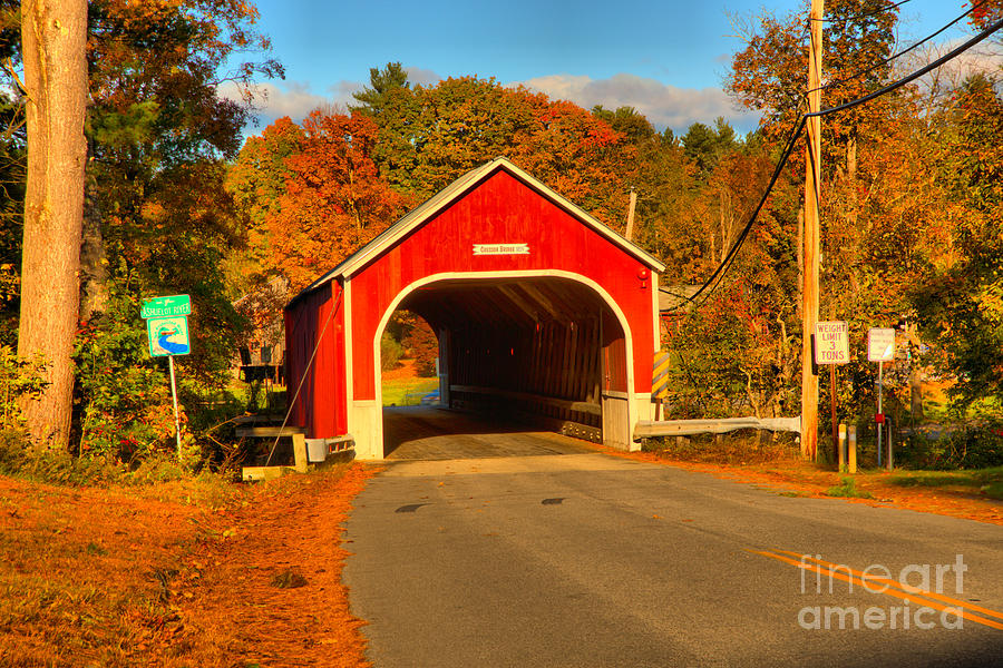Red Cresson Covered Bridge Photograph by Adam Jewell