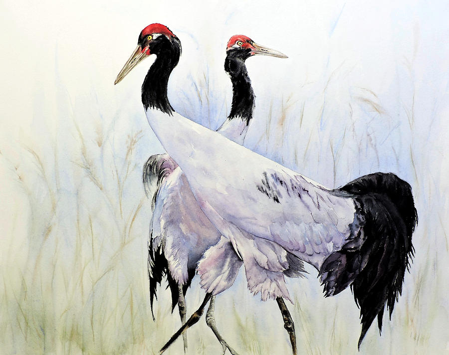 Black Neck Strut Painting By Vicky Lilla - Fine Art America