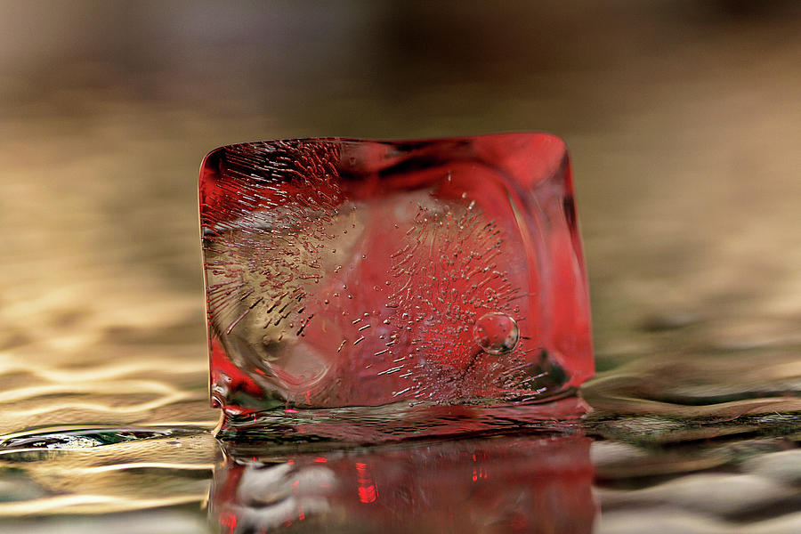 Red Cube Photograph