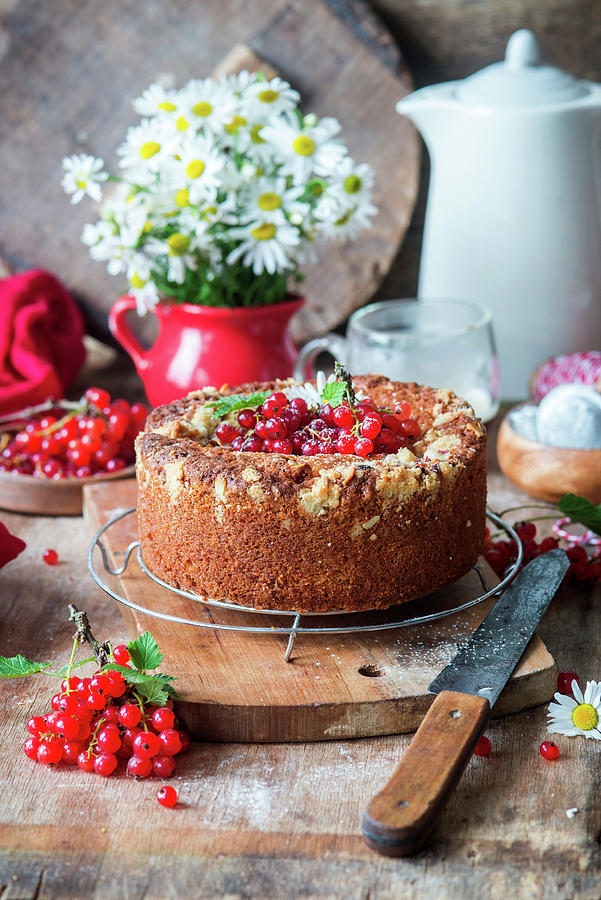Red Currant Cake Photograph by Irina Meliukh