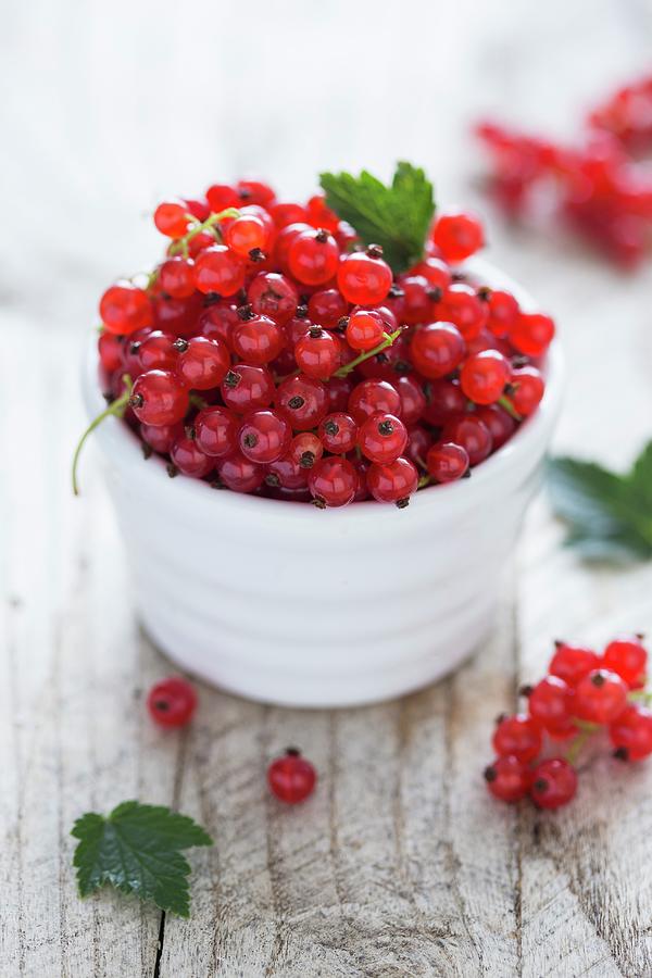 Red Currant In A White Bowl Photograph by Malgorzata Laniak