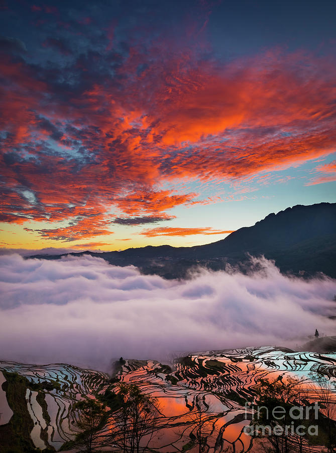 Asia Photograph - Red Dawn At Rice Terraces by Inge Johnsson Asia Photograph - Red Dawn At Rice Terraces by Inge Johnsson