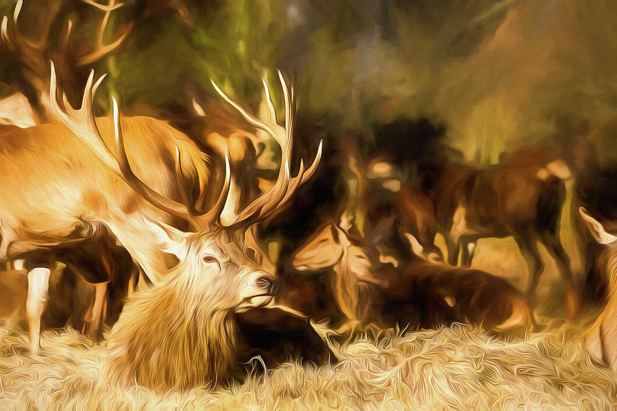 Red Deer Stag Painting Digital Art by Rick Deacon