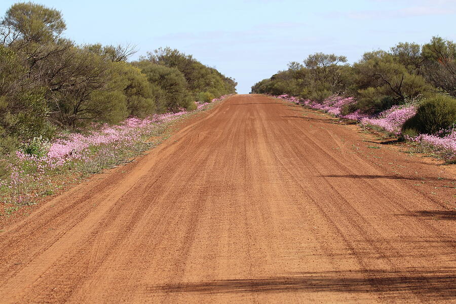 Spring Photograph - Red Dirt Road by Michaela Perryman