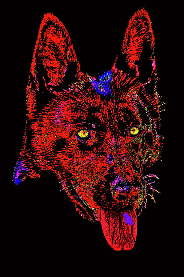 Red Dog. Digital Art
