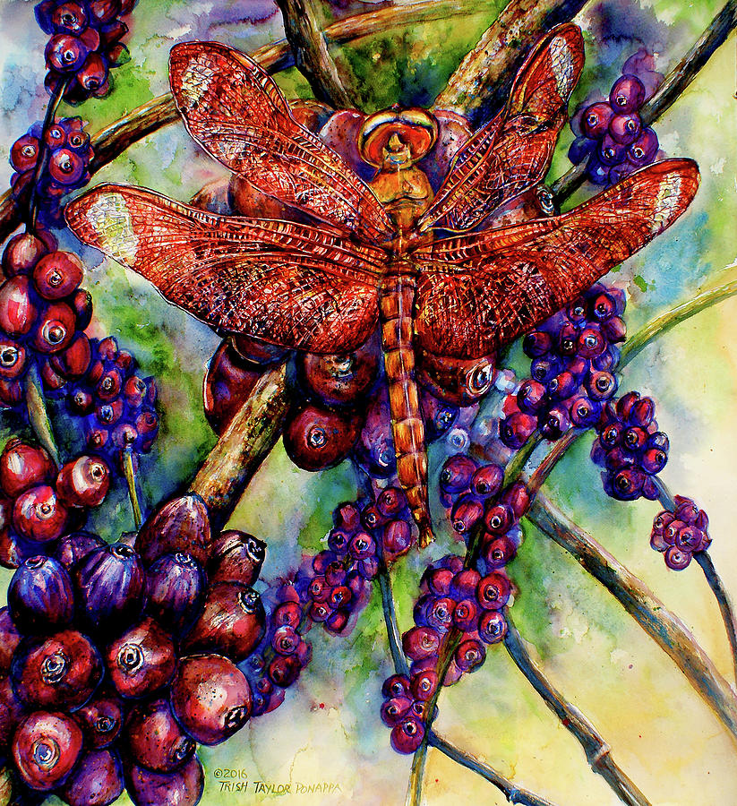 Insects Painting - Red Dragon on Coffee Berries by Trish Taylor Ponappa
