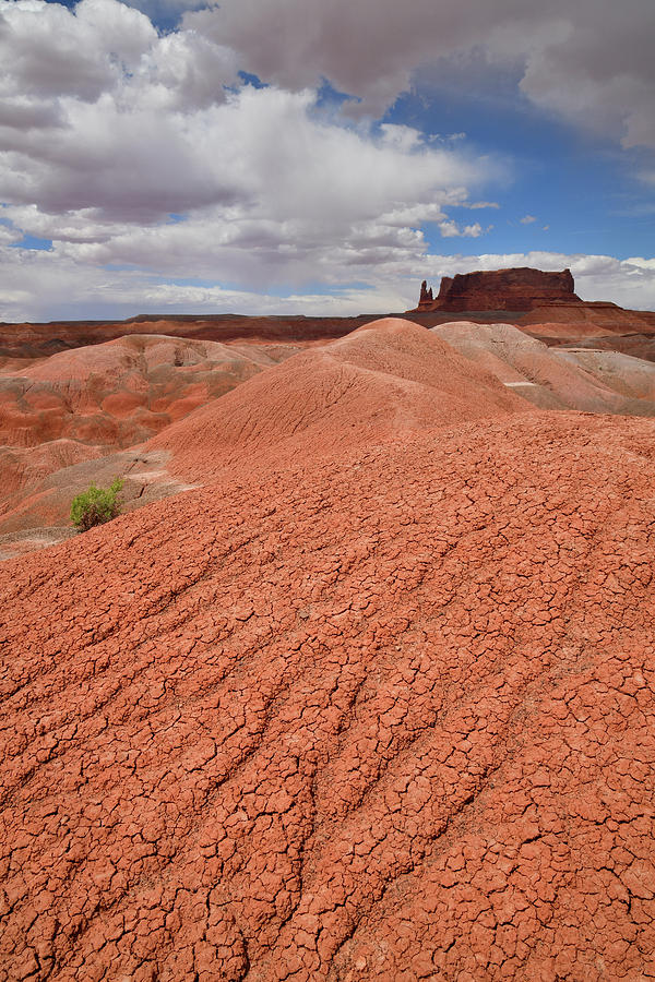 Red Dunes of Arizona along 191 near Chinle Photograph by Ray Mathis