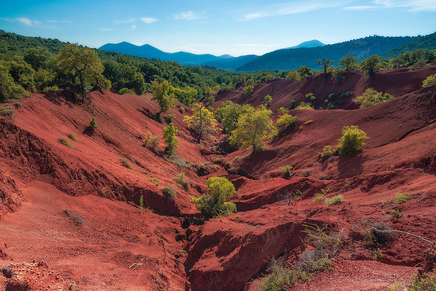 Red Earth Photograph by Elias Pentikis