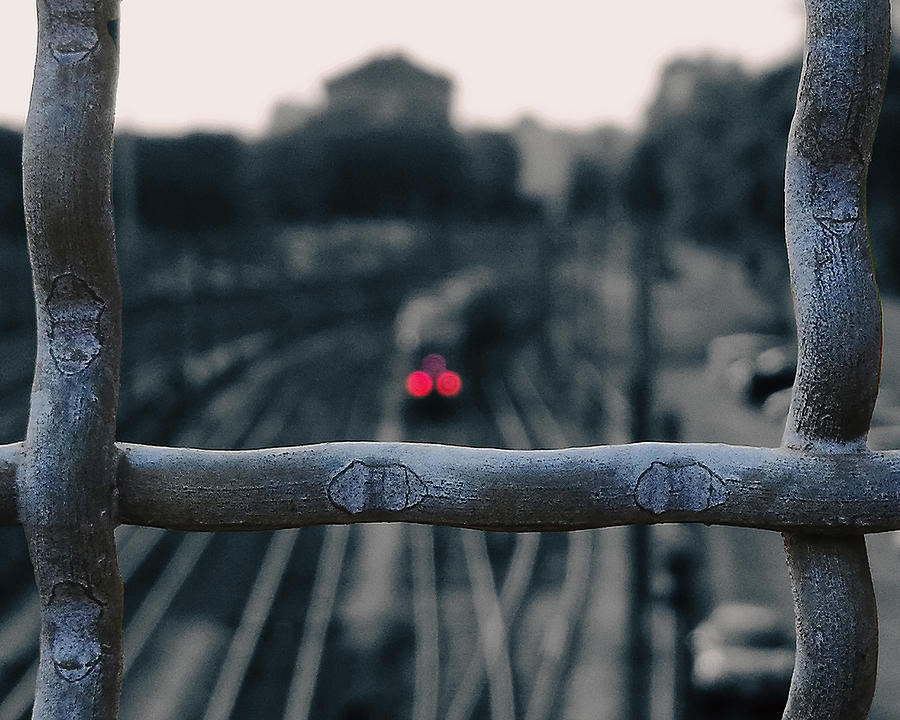 Red-eyed Train Photograph by Eden Antho