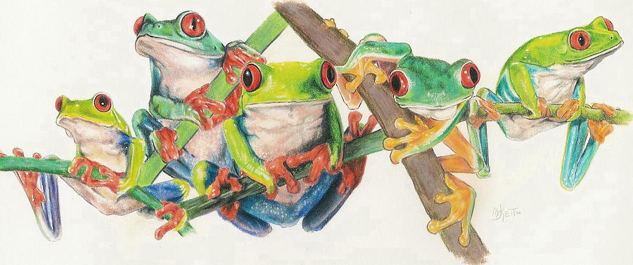 Red-Eyed Tree Frog Bunch Mixed Media by Barbara Keith
