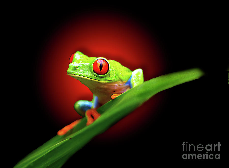Jungle Digital Art - Red-Eyed Tree Frog in Costa Rica by Paul Gerace