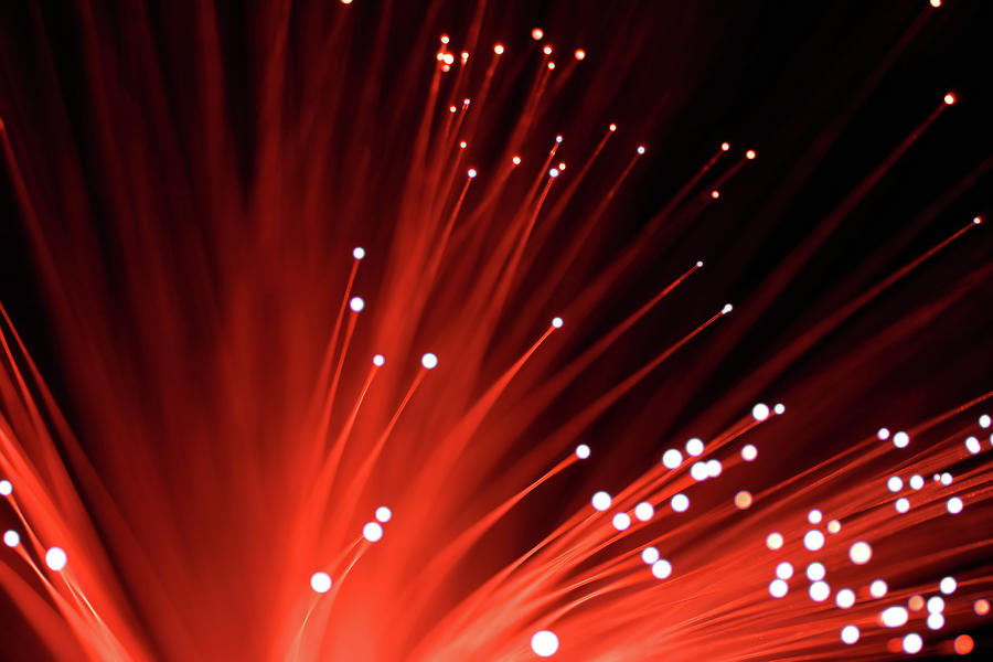 Red Fiber Optics Photograph by The-tor