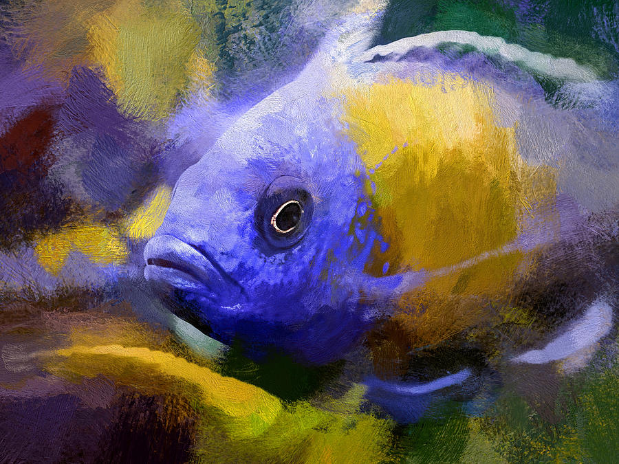 Red Fin Borleyi Cichlid Artwork Digital Art by Don Northup | Fine Art ...