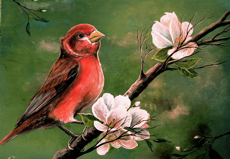 Animal Painting - Red Finch by Greg Farrugia