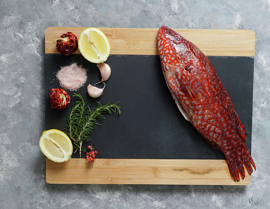 Red Fish, Ballan Wrasse Raw Fresh Ready To Be Cooked Photograph by Julia Bogdanova