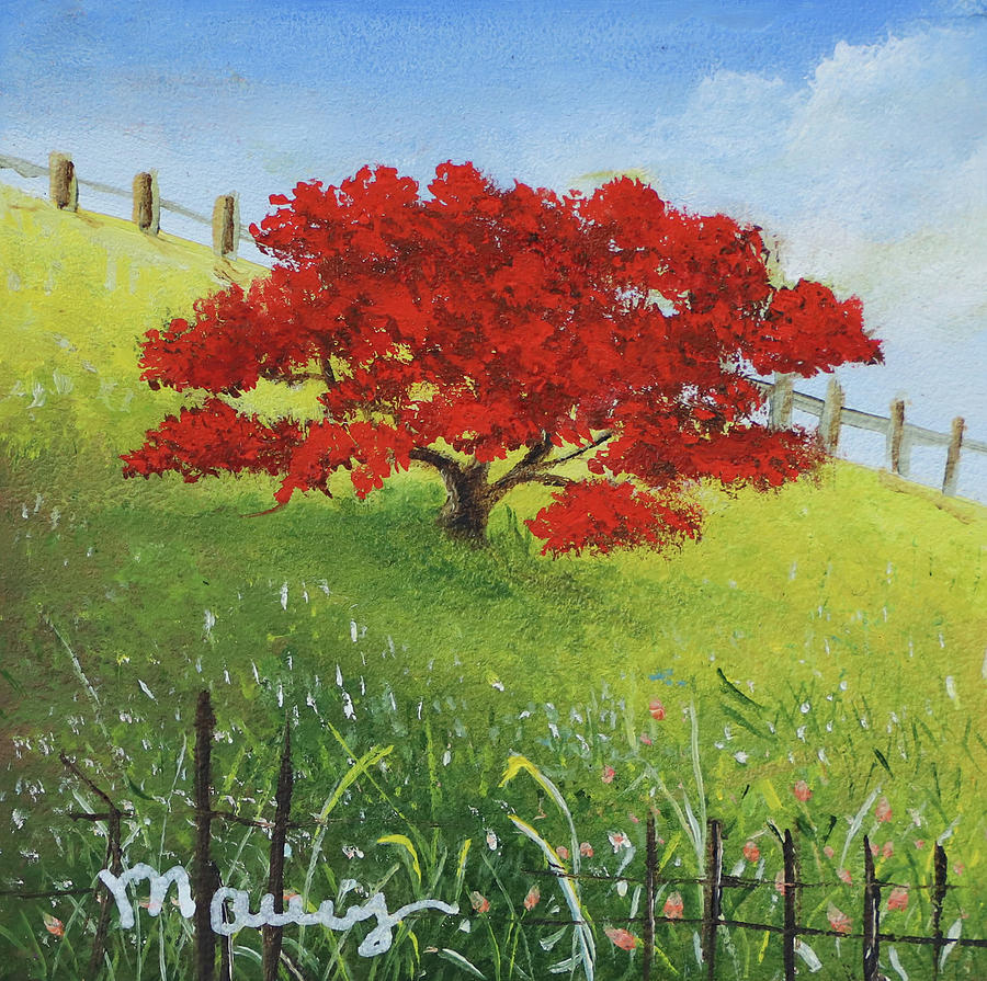 Red Flamboyant by Alicia Maury Red Flamboyant by Alicia Maury