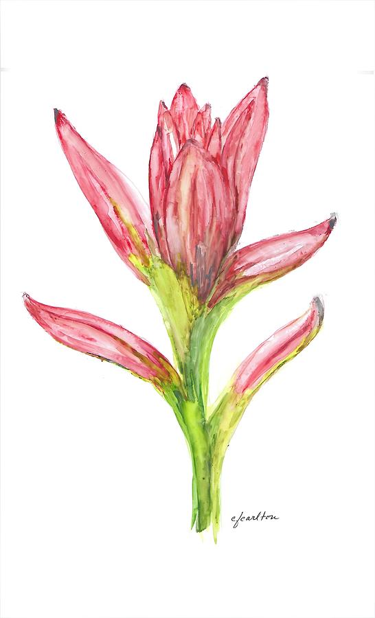 Red Flower - Watercolor Painting by Claudette Carlton
