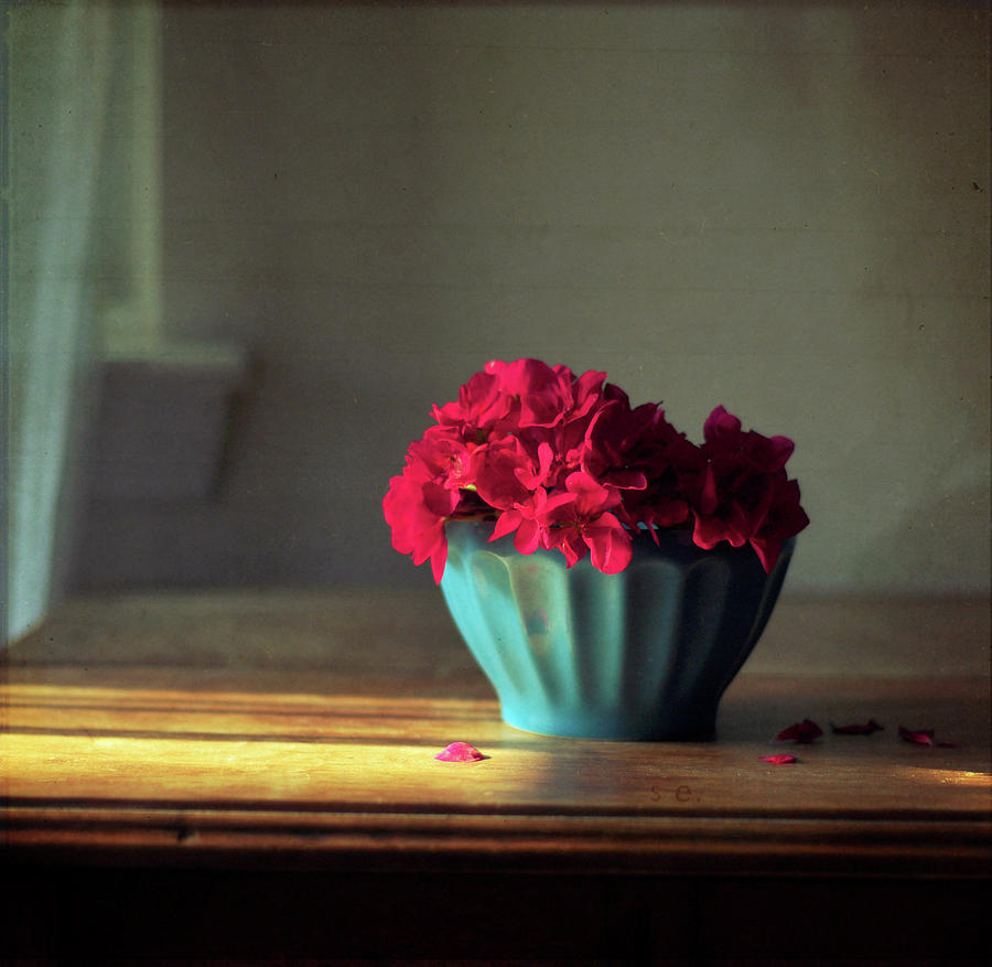 Red Flowers In Turquoise Bowl Photograph by Dawn D. Hanna