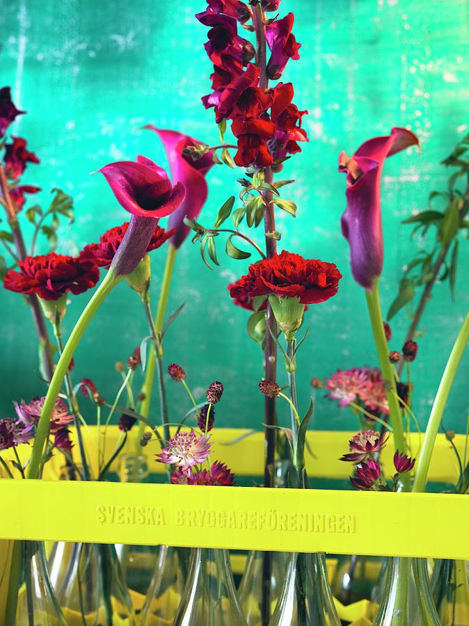 Red Flowers In Yellow-painted Bottle Crate Against Turquoise Background Photograph by Anderson Karl