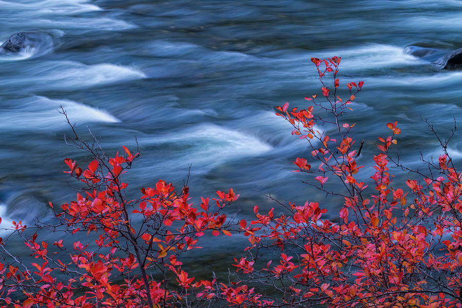 Red Foliage With Blue River Photograph by Justin Reznick Photography