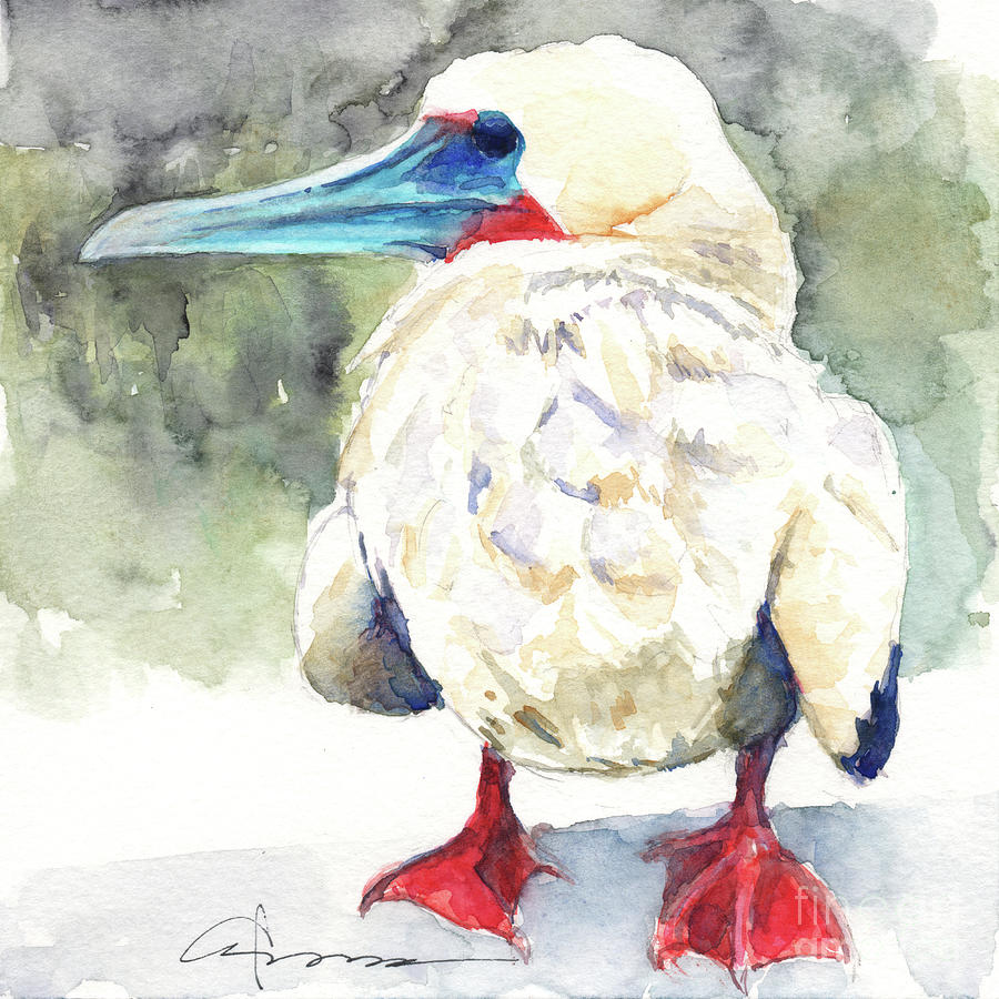 Red-footed Booby Chick Painting by Claudia Hafner
