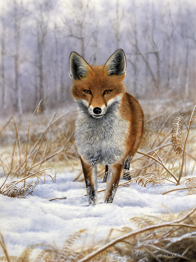 Red Fox 4305 Painting by Nigel Artingstall