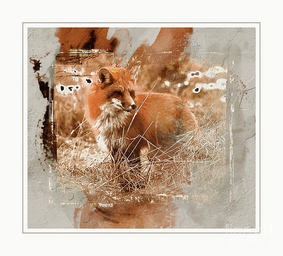 Red Fox . Digital art Mixed Media by Elaine Manley
