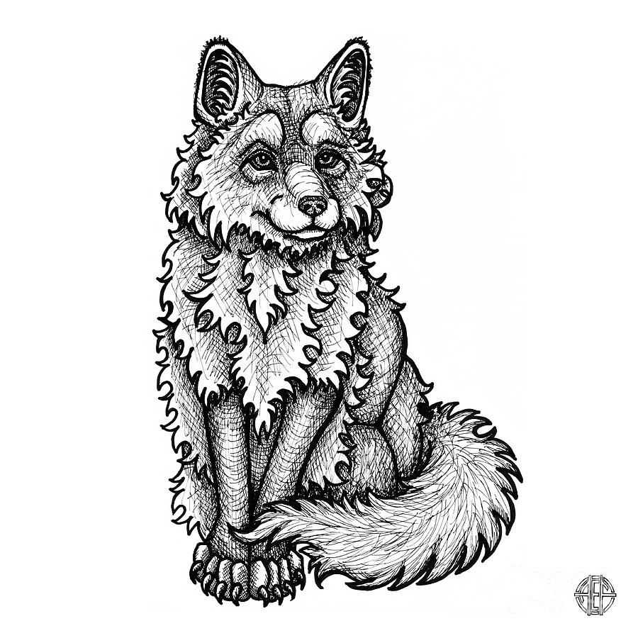 Red Fox Drawing by Amy E Fraser