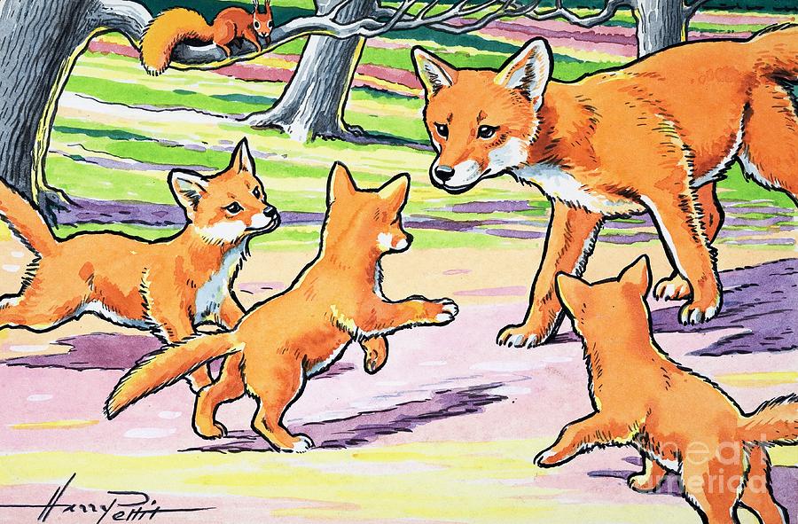 Red Fox and her cubs Painting by Harry M Pettit
