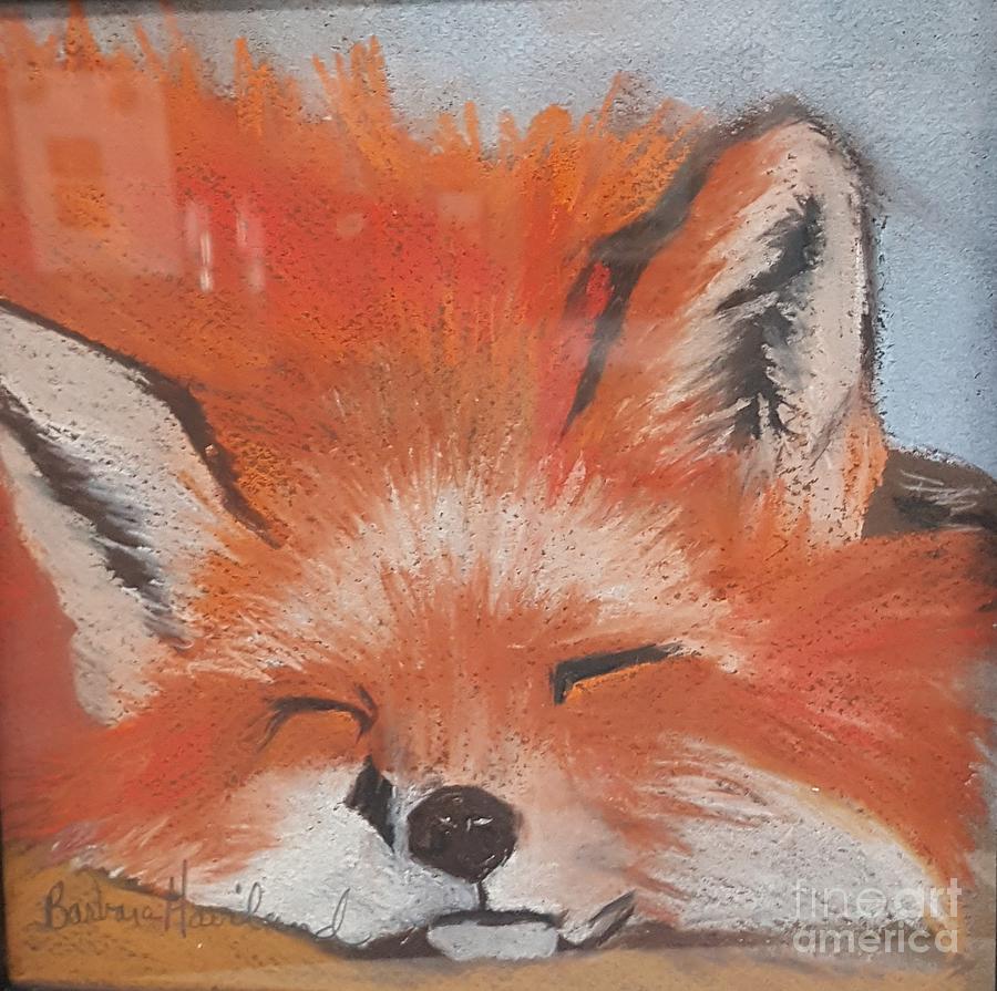 Red Fox Pastel by Barbara Haviland
