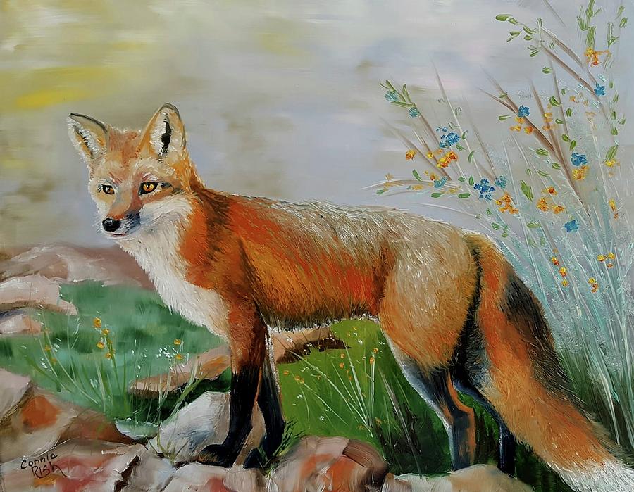 Red Fox Painting by Connie Rish