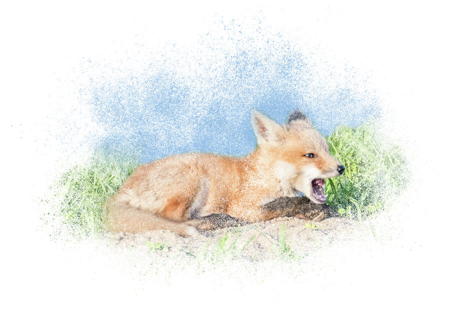 Red Fox Kit #10 - Calling by Patti Deters Red Fox Kit #10 - Calling by Patti Deters