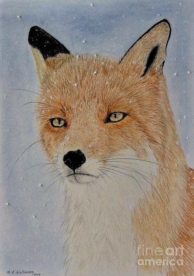 Red Fox  Pastel by Natalia Wallwork