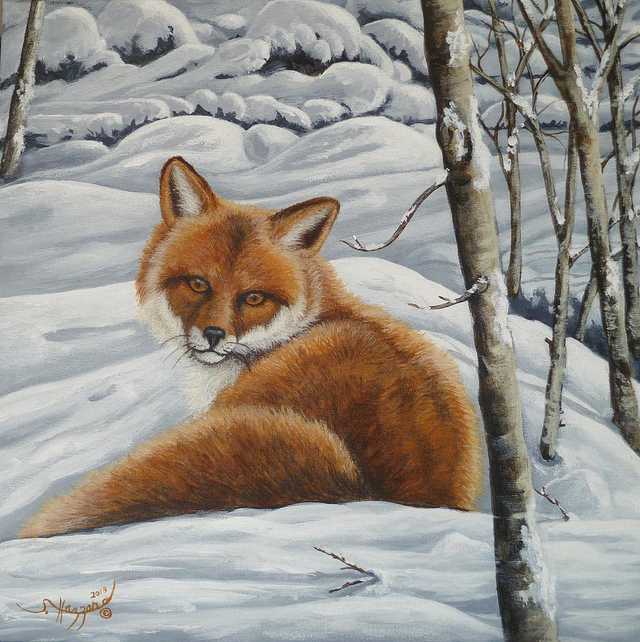 Red Fox Painting By Shari Hazzard-doyle - Fine Art America