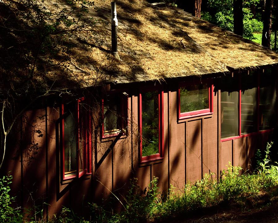 Red Framed Cabin In The Woods Photograph by Jerry Sodorff