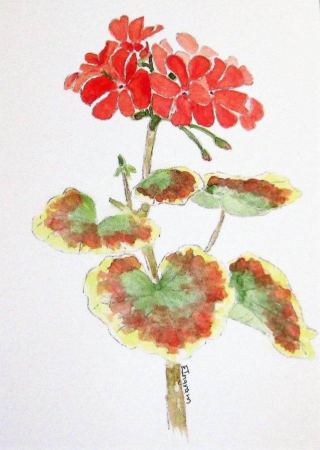 Red Geranium  Painting by Elvira Ingram