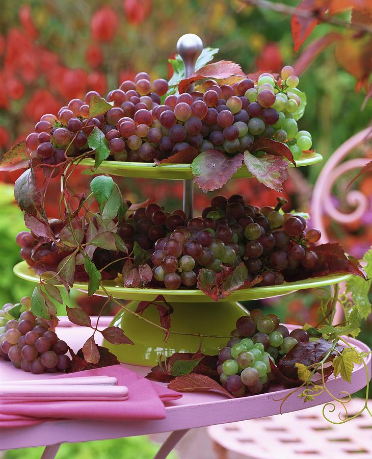 Red Grapes On Tiered Stand With Boston Ivy Leaves Photograph by Strauss, Friedrich