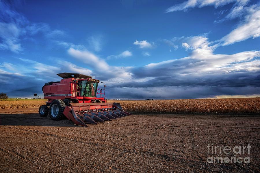Red Harvester Photograph by Christopher Thomas