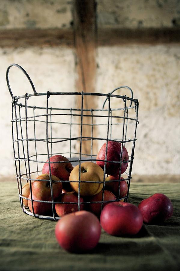 Fruit Photograph - Red Heritage Apples In Wire Basket by Francesca Giovanelli